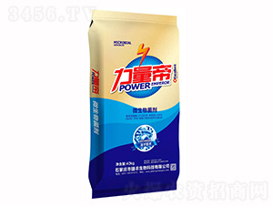 ������΢�������-٤������