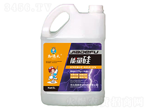 ������-�ӵ·�-��Ⱥ�r(n��ng)�I(y��)