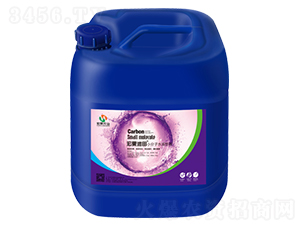 С���ӿ�����̼-�������-����r(n��ng)�I(y��)