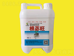 ֲ��ø����-��ƃ��-���A��