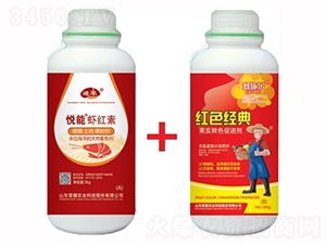 �����r����+�tɫ��(j��ng)��-�sҫ�r(n��ng)�I(y��)