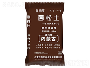 ������΢�������-������