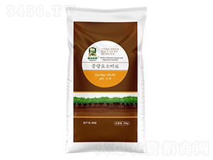 �}�V�{(di��o)�턩-���W�׶�