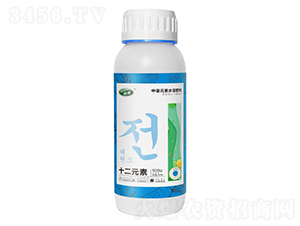 ʮ��Ԫ������Ԫ��ˮ�ܷ���-��߃-���W�׶�