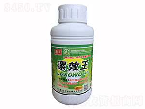 500ml�ЙC(j��)Һ��-�N������