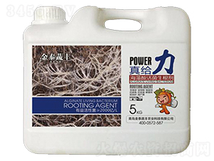 ������������-��o��-��̩���S