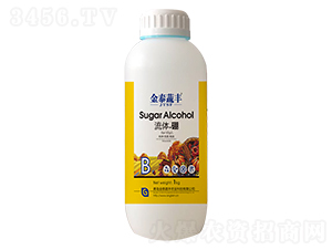 ���w����-��̩���S