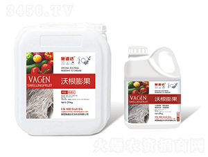 �ָ����-ʩ���_