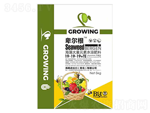 ����Ԫ��ˮ�ܷ���19-19-19+TE-������-����