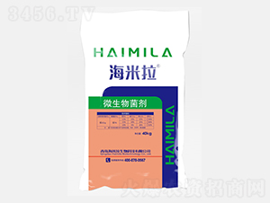 40kg΢�������-������