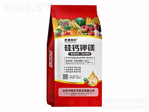 ���}��V-�͵����r(n��ng)-��������