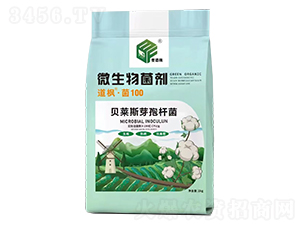 貝萊斯芽孢桿菌-克萊氏