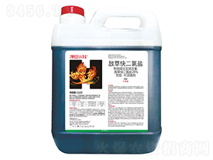 20%���ݿ�����}����Һ����5���-�������-�t̫�(y��ng)����