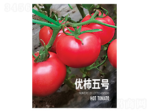 ��(y��u)����̖-���r(n��ng)����(chu��ng)