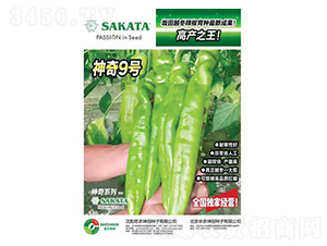 ����(chu��ng)��̖-���r(n��ng)����(chu��ng)