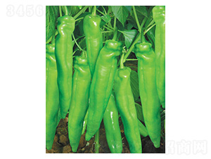 ؐ��958-���r(n��ng)����(chu��ng)