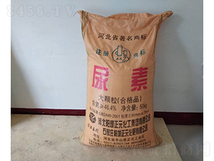 ���w������-��������