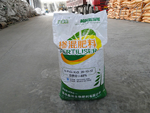 �������26-10-12-��������