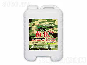 ���t(y��)-ʢ������