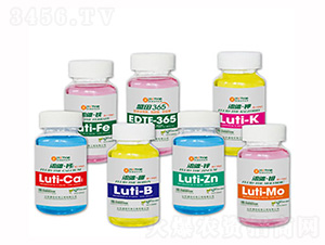 ���w΢��-ʢ������