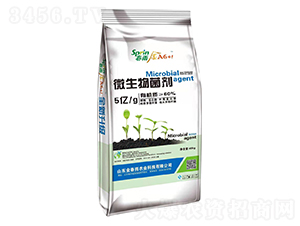 ΢�������-����