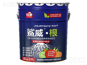 ���Ͷ๦�������B(y��ng)�����ܷ�-��������-Ħ����