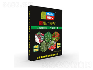 �����ѹ����a(ch��n)�I(l��ng)��-Ħ����