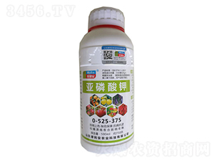 �������0-525-375-Ħ����