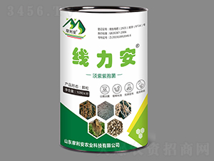 �������߾�-������-Ħ����