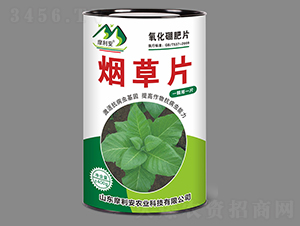 ����Ƭ-Ħ����