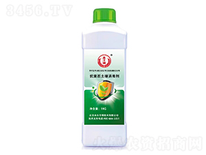 ���ز�����������-���S�@-�̘�(l��)����