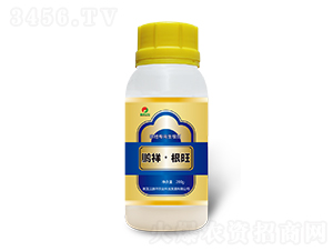 ���،���������-�i�顤����-�i���r(n��ng)�I(y��)