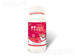 穗肥早熟鼓粒王-鵬祥農業(yè)