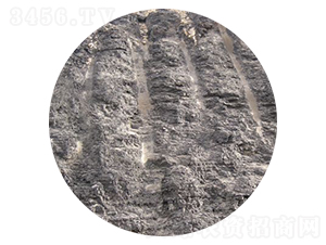 ��Ȼ��ֲ��ԭ��-��������