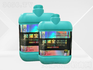 ������-�ٴ�