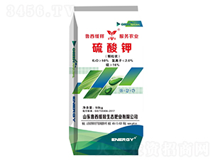 ������w����-�������