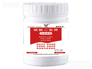 ��������-ˮ��ʥ��-�������