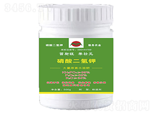 ��������-��˹��������Ԫ-�������