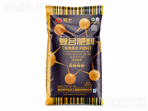 ����߷��ӏ�(f��)�Ϸ���15-10-20