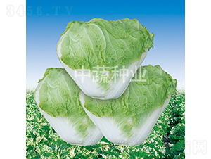 �а�83-�ײ˷N��-���߷N�I(y��)