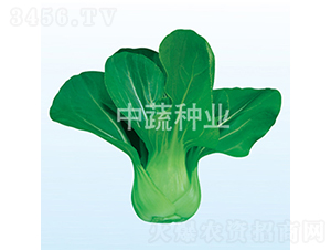 ��Ӣ252-�ײ˷N��-���߷N�I(y��)