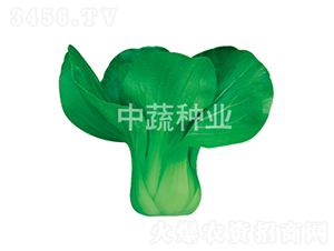 �G�M�R-�ײ˷N��-���߷N�I(y��)