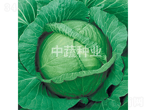 ���Բ����c�S-���{(l��n)�N��-���߷N�I(y��)