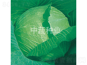 ���S-���{(l��n)�N��-���߷N�I(y��)