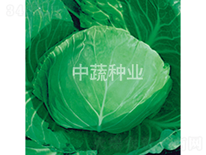 �и�18̖(h��o)-���{(l��n)�N��-���߷N�I(y��)