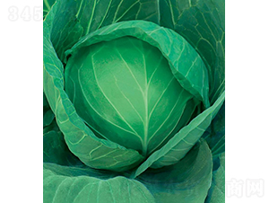 �и�605-���{(l��n)�N��-���߷N�I(y��)