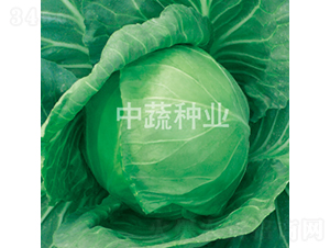 �и�301-���{(l��n)�N��-���߷N�I(y��)