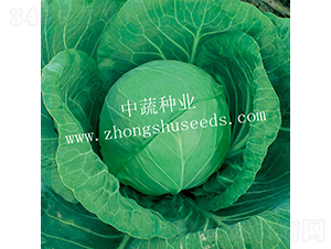 �и�590-���{(l��n)�N��-���߷N�I(y��)