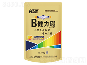 ������-�A̫¡-���r(n��ng)������