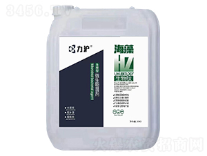 ������΢�������-��������